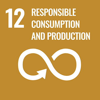 12-RESPONSIBLE CONSUMPTION AND PRODUCTION